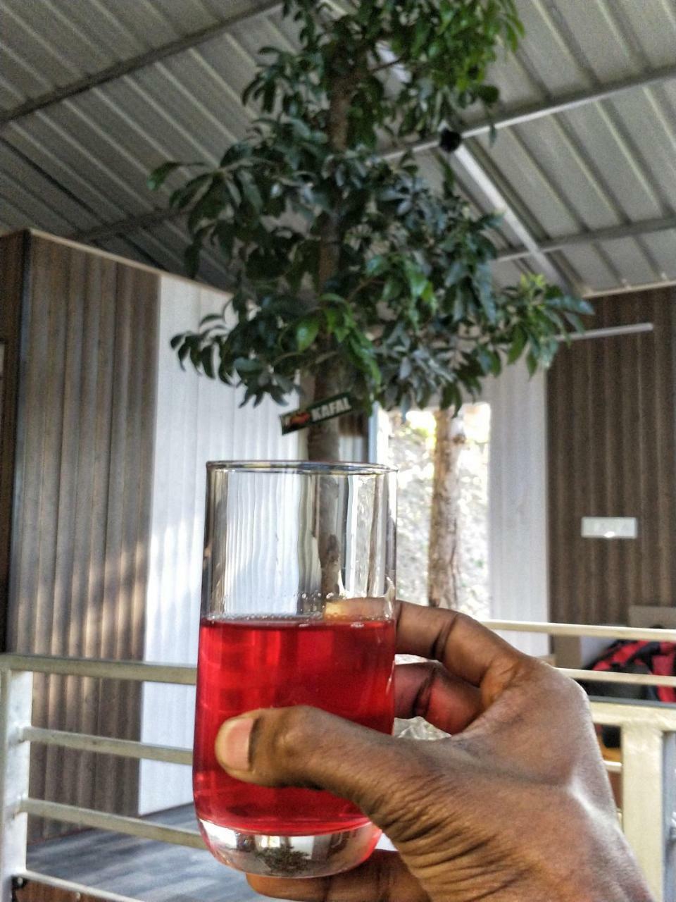 可可尼度假酒店 奈尼塔尔 外观 照片
